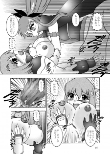 (Puniket 22) [Studio Kyawn (Murakami Masaki)] Ikai jigen (Mahou Shoujo Lyrical Nanoha A's) - page 25