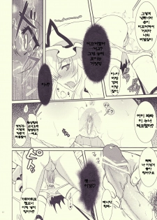 (Reitaisai 07) [Kuma-tan Flash! (Hanao)] Mebius：loop＋Omake (Touhou Project) [Korean] - page 12