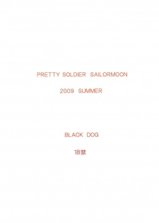 (C76) [BLACK DOG (Kuroinu Juu)] TUBULAR BELLS (Sailor Moon) [Italian] - page 34
