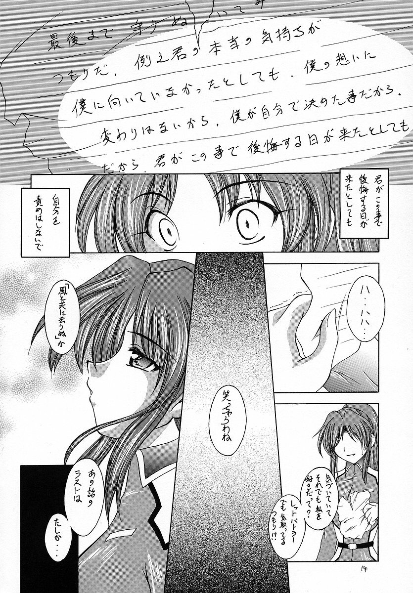 (C64) [RED RIBBON REVENGER (Makoushi)] RESPECTIVELY UNIVERSE (Gundam SEED) page 13 full