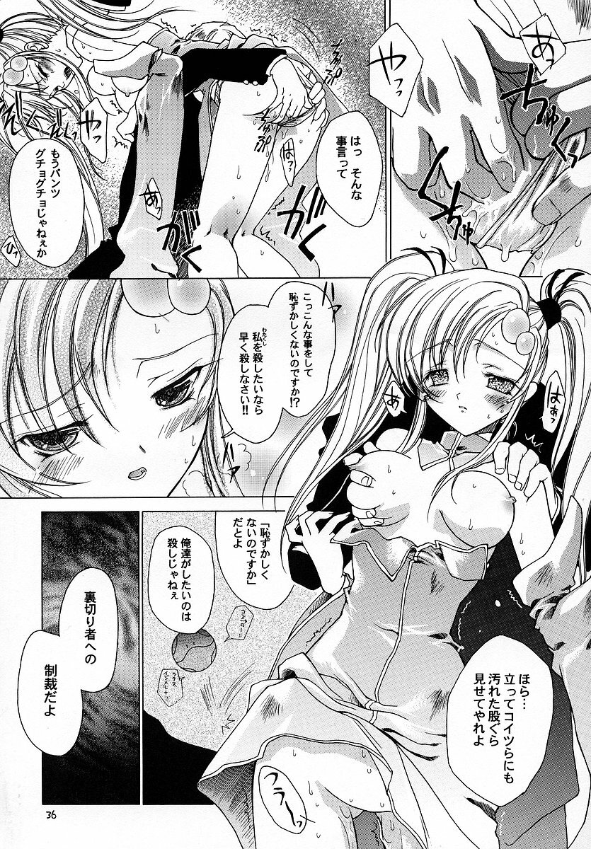 (C64) [RED RIBBON REVENGER (Makoushi)] RESPECTIVELY UNIVERSE (Gundam SEED) page 35 full