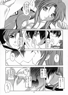 (C64) [RED RIBBON REVENGER (Makoushi)] RESPECTIVELY UNIVERSE (Gundam SEED) - page 14