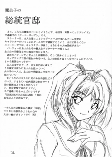 (C64) [RED RIBBON REVENGER (Makoushi)] RESPECTIVELY UNIVERSE (Gundam SEED) - page 21