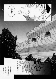 (CR28) [RED RIBBON REVENGER (Makoushi)] Elf's Ear Book 2 - Ao no Taikai II ~Opration Ocean Blau II~ (Star Ocean: The Second Story) - page 6