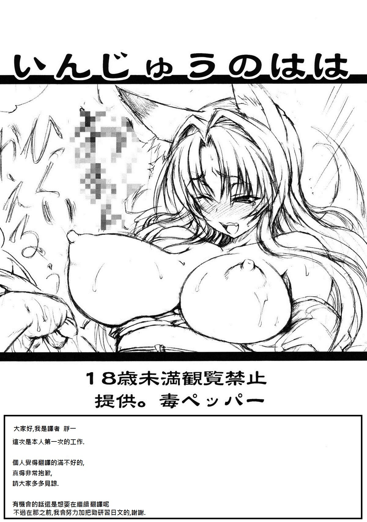 (C75) [Doku pepper (Shiina Kazuki)] Injuu no Haha (Kanokon) [Chinese] [靜一個人漢化] page 9 full