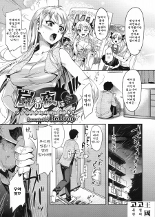 [ReDrop] Arashi no Yoru ni | 폭풍우 치는 밤에 (COMIC Megastore 2010-01) [Korean] [고독한 고철의 王國] - page 1