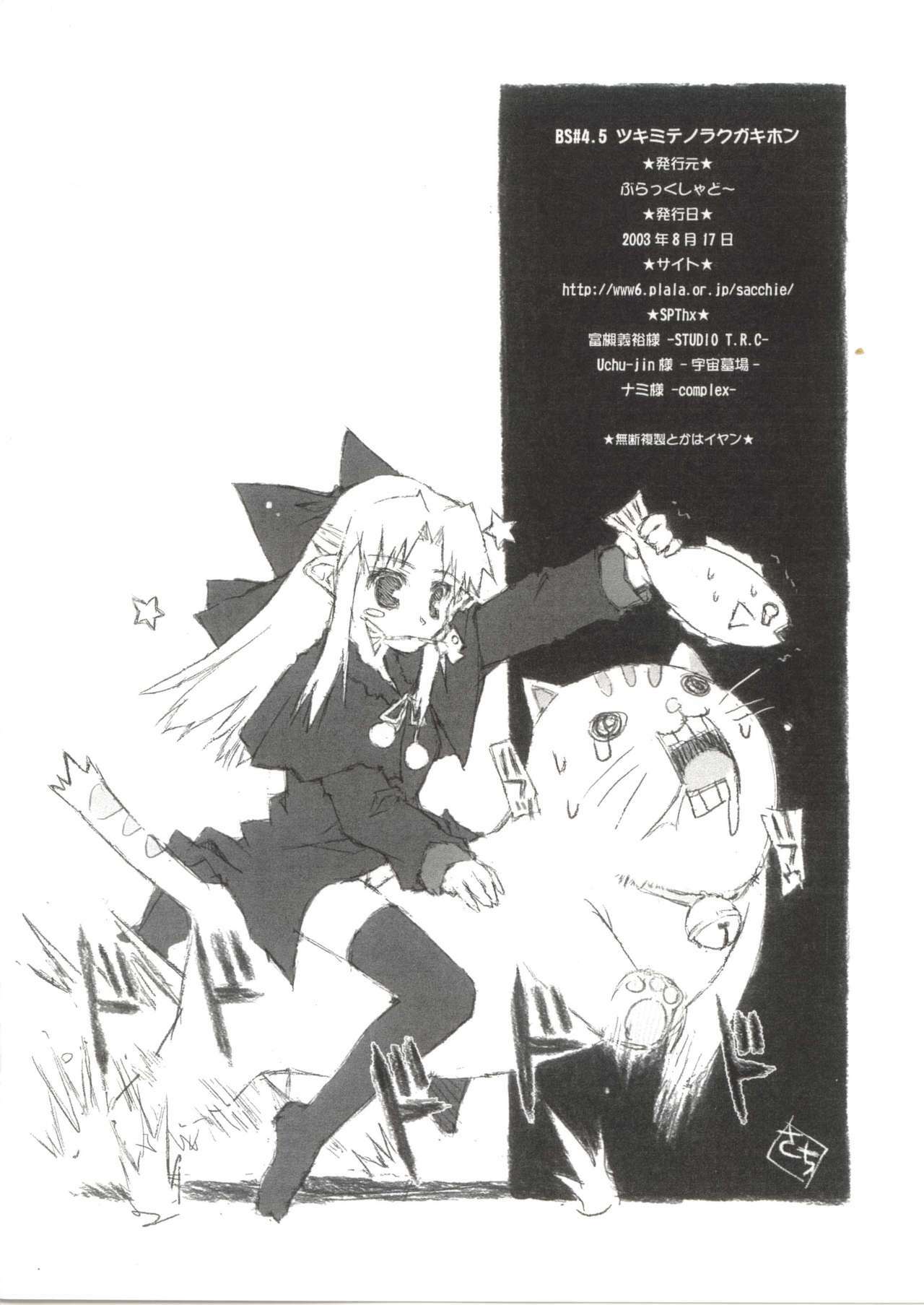 (C64) [Black Shadow (Sacchi)] BS#4.5 TsukiMite no Rakugaki Hon (Maria-sama ga Miteru, Tsukihime) page 11 full