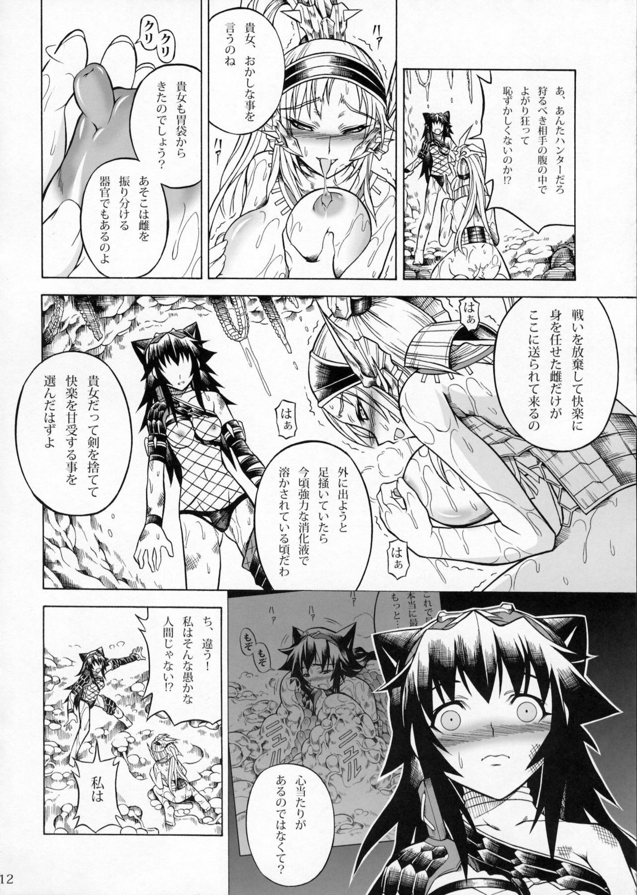 (C79) [Yokohama Junky (Makari Tohru)] Solo Hunter no Seitai 2 The second part (Monster Hunter) page 11 full