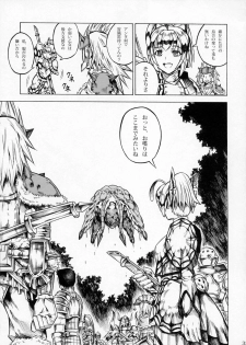 (C79) [Yokohama Junky (Makari Tohru)] Solo Hunter no Seitai 2 The second part (Monster Hunter) - page 34