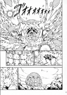 (C78) [Yokohama Junky (Makari Tohru)] Solo Hunter no Seitai 2 THE FIRST PART (Monster Hunter) - page 12