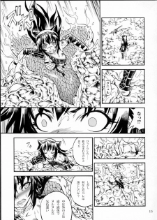 (C78) [Yokohama Junky (Makari Tohru)] Solo Hunter no Seitai 2 THE FIRST PART (Monster Hunter) - page 14