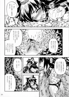 (C78) [Yokohama Junky (Makari Tohru)] Solo Hunter no Seitai 2 THE FIRST PART (Monster Hunter) - page 19