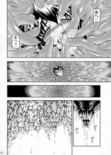 (C78) [Yokohama Junky (Makari Tohru)] Solo Hunter no Seitai 2 THE FIRST PART (Monster Hunter) - page 29
