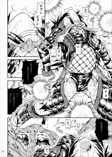 (C78) [Yokohama Junky (Makari Tohru)] Solo Hunter no Seitai 2 THE FIRST PART (Monster Hunter) - page 9