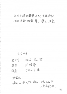 (C63) [Giroutei (Shijima Yukio)] Giroutei Ho no Maki (Street Fighter) - page 31