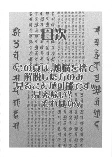 (C74) [From Japan (Aki Kyouma)] Seiiki Naki Jukujuku Kaikaku III (Neon Genesis Evangelion) - page 3