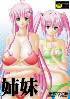 [Bousou!! Fuhatsu-dan (Takai Biki)] Shimai (To LOVE-Ru)