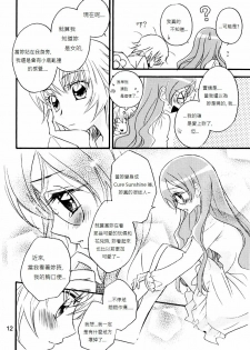 (C79) [Myao (Morinaga Milk)] Tengoku wa Sugu Soko (HeartCatch Precure!) [Chinese] [soulrr个人汉化] - page 13
