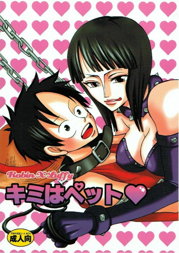 (C66) [PINK STAR (Urazawa Kaoru)] Kimi wa Pet (One Piece) page 1 full