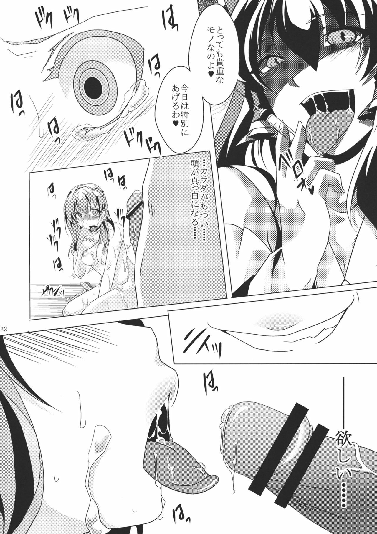 (C80) [Goshujinsama no Omochabako (hal)] Ochi Miko (Touhou Project) page 22 full