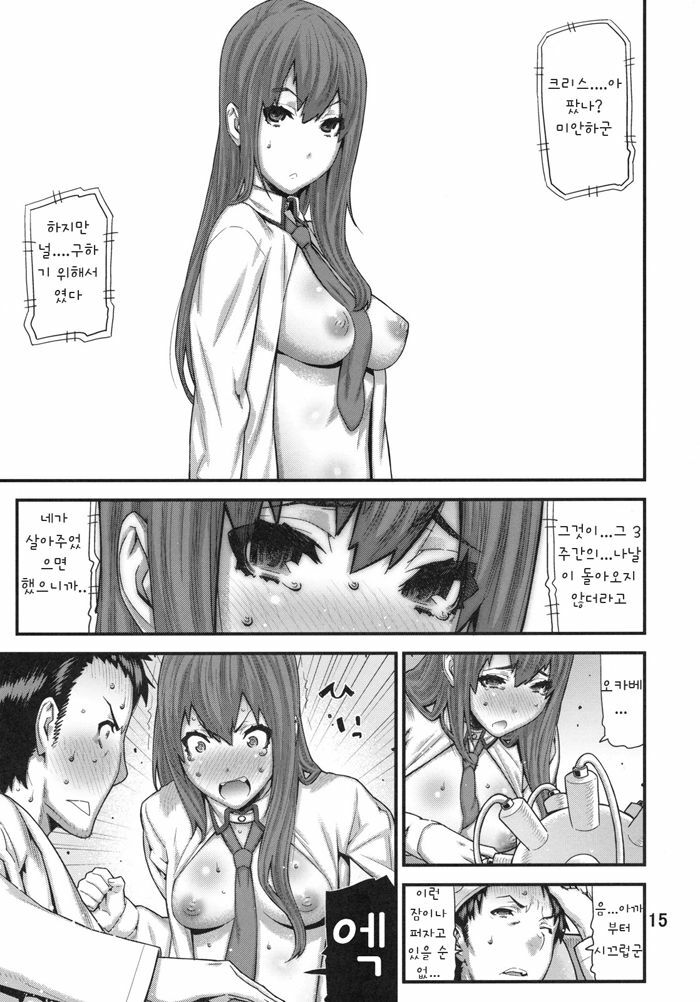 (C79) [BLACK FLY (Ikegami Tatsuya)] Sonna no Zurui (Steins;Gate) [Korean] [Team HANU] page 15 full