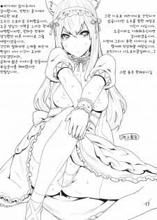 (C79) [BLACK FLY (Ikegami Tatsuya)] Sonna no Zurui (Steins;Gate) [Korean] [Team HANU] - page 17