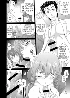 (C80) [Gagaken (Mahiruno Kagerou)] Heavens;Gate (Steins;Gate) [Korean] [Project H] - page 4