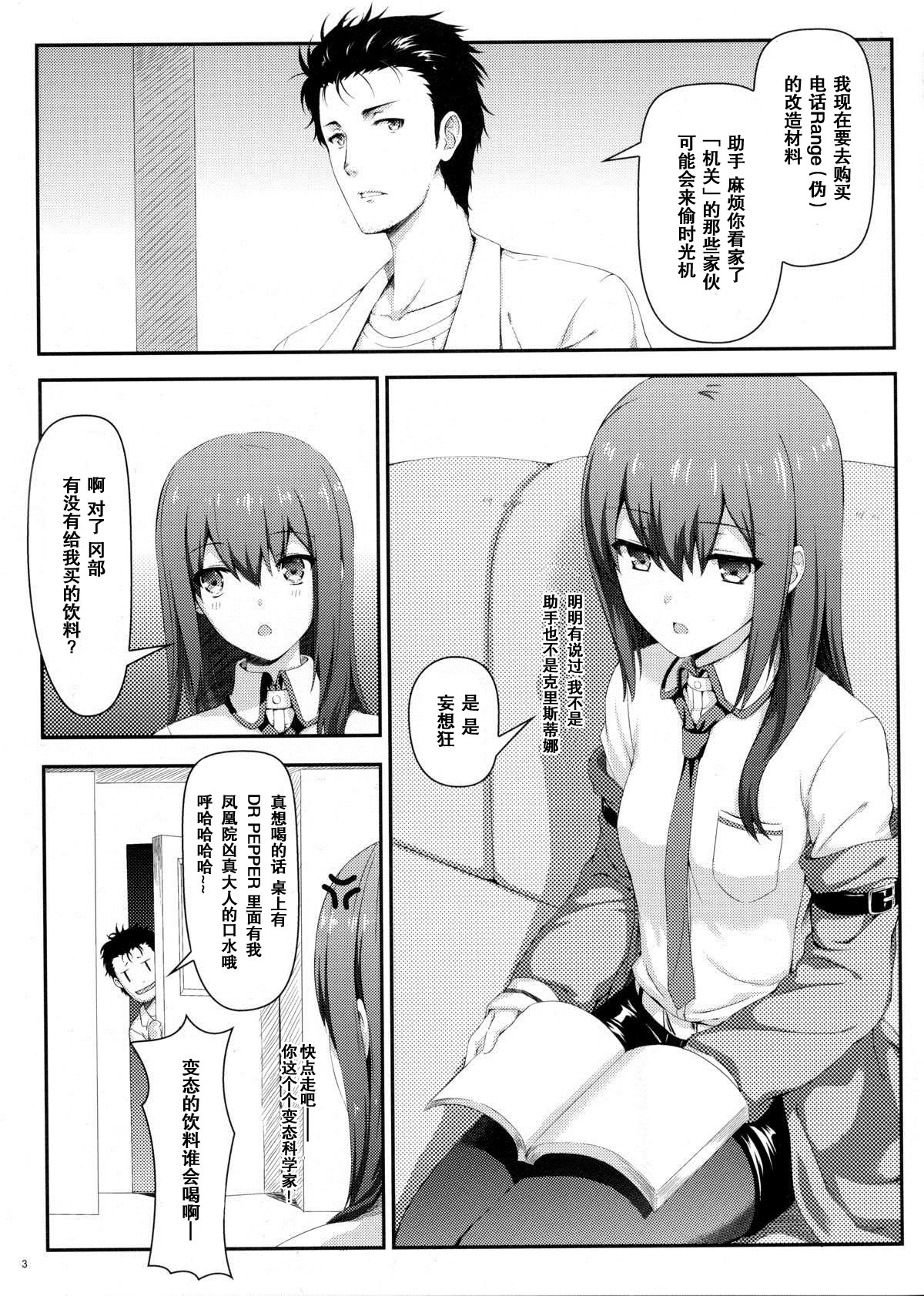 (C80) [Shadow Sorceress Communication Protocol (Hiten Onee-ryuu)] Tengoku e no Bullet Train (Steins;Gate) [Chinese] {空気系汉化} page 3 full