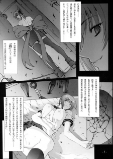 (C71) [Wolkenkratzer (Bontenkarasu)] Decadence 2 (Dead or Alive) - page 4