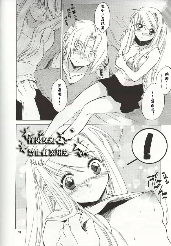 (C66) [Toko-ya (HEIZO, Kitoen)] ED x WIN (Fullmetal Alchemist) [Chinese] page 25 full