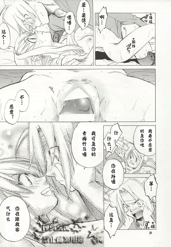 (C66) [Toko-ya (HEIZO, Kitoen)] ED x WIN (Fullmetal Alchemist) [Chinese] page 36 full