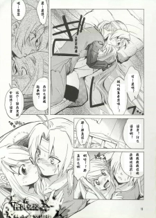 (C66) [Toko-ya (HEIZO, Kitoen)] ED x WIN (Fullmetal Alchemist) [Chinese] - page 12