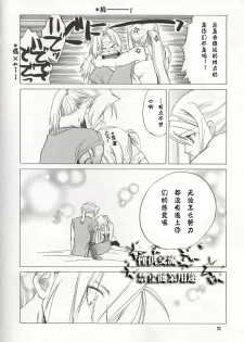 (C66) [Toko-ya (HEIZO, Kitoen)] ED x WIN (Fullmetal Alchemist) [Chinese] - page 19