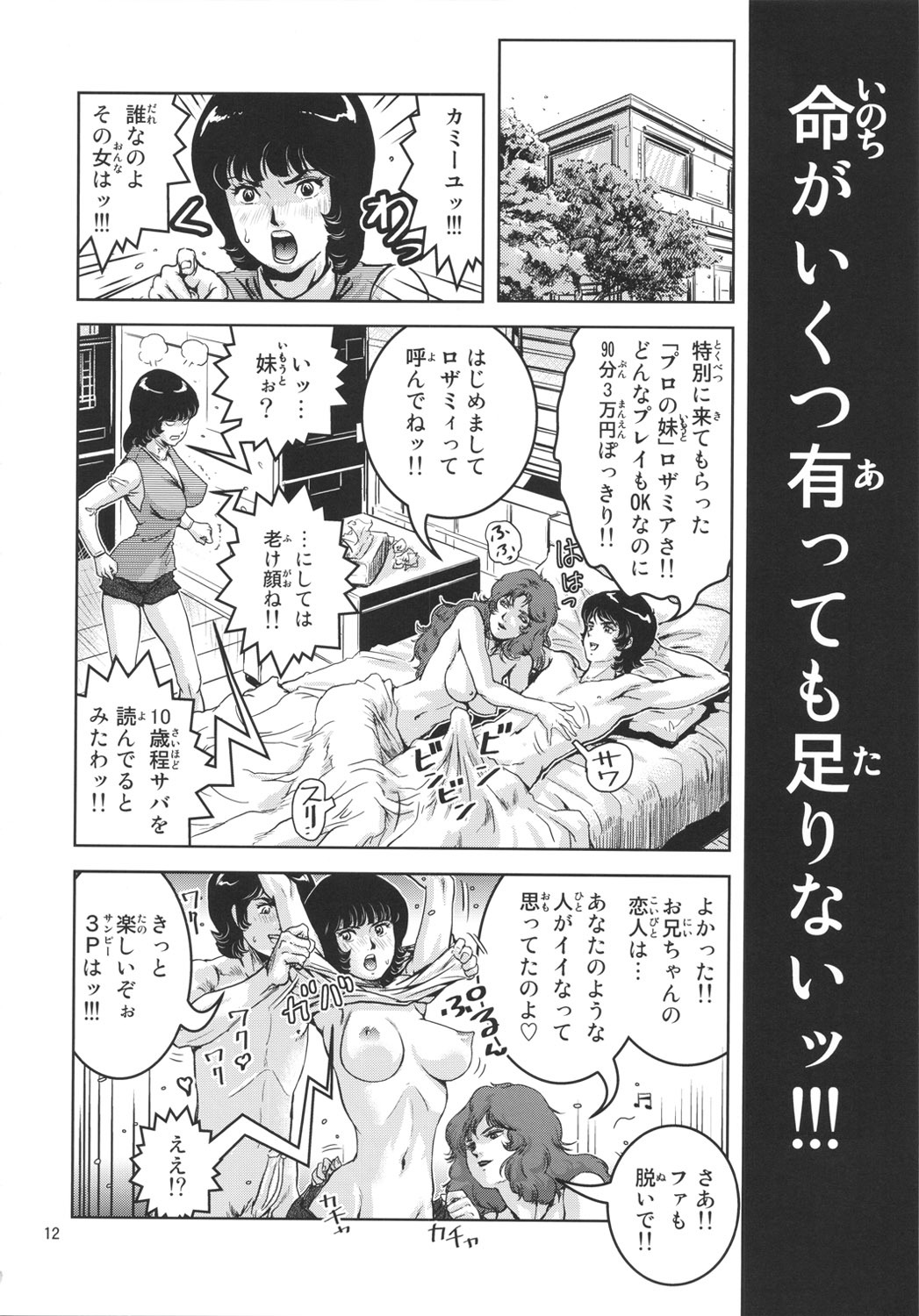 (C80) [Skirt Tsuki (keso)] OmanZ (Zeta Gundam) page 11 full