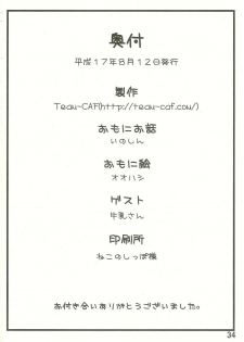 (C68) [Team-CAF (Inoshin, Oohashi)] DokiDoki Prominence♪ (Fushigi Boshi no Futago Hime) - page 34