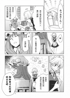 (Reitaisai 8) [Nantoka Ikitemasu. (Megumiya)] Kanzen de Shousha na Juusha wa D.T. nanoka? (Touhou Project) [Chinese] [喵玉汉化] - page 7