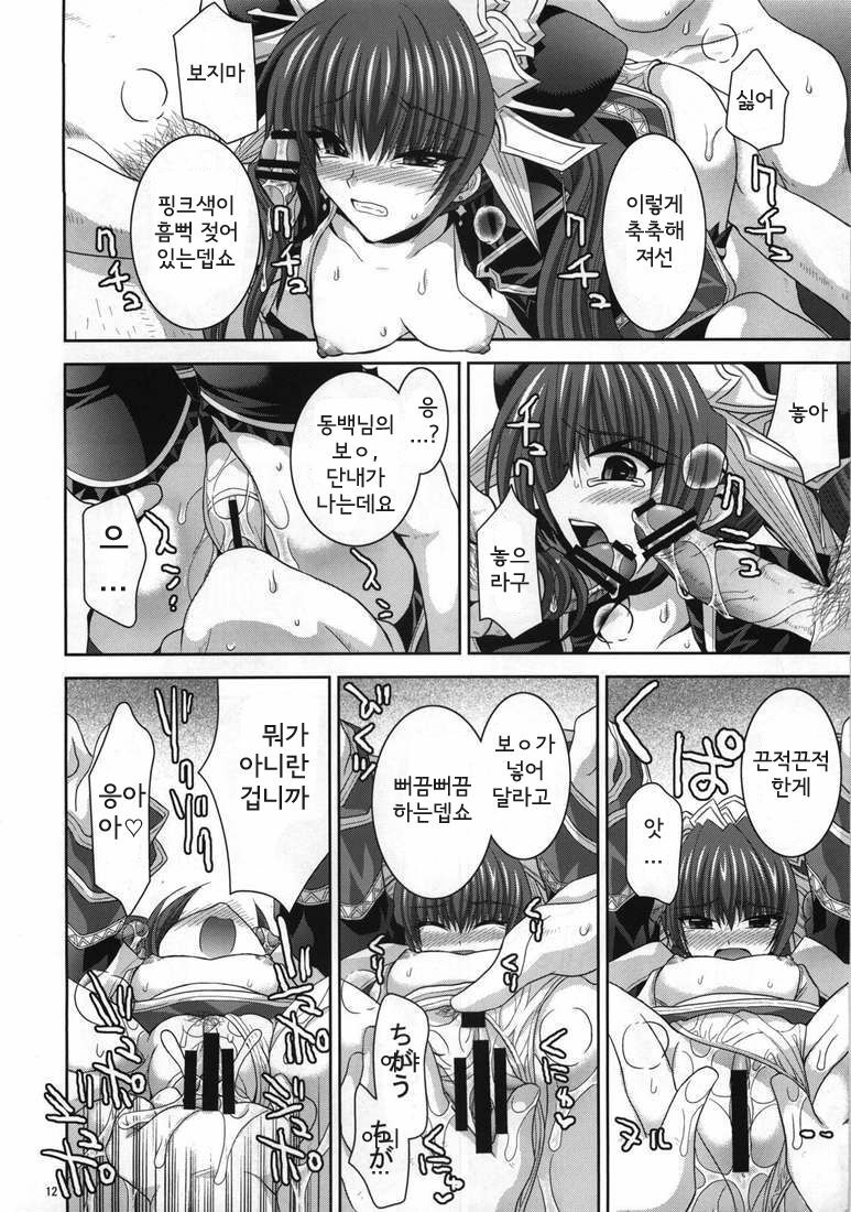 (C73) [FANTASY WIND (Shinano Yura)] palpitate (Koihime Musou, Sangokushi Taisen) [Korean] [Team HA-NU] page 10 full