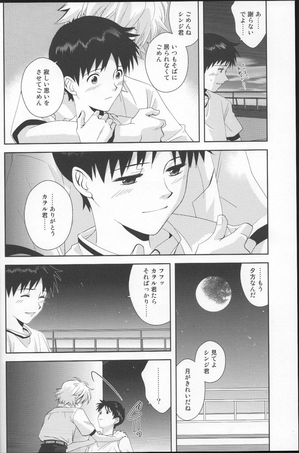 (C79) [WILDCAMEL (Indo Tomoyoshi)] Tsuki ga Kirei da ne (Neon Genesis Evangelion) page 23 full