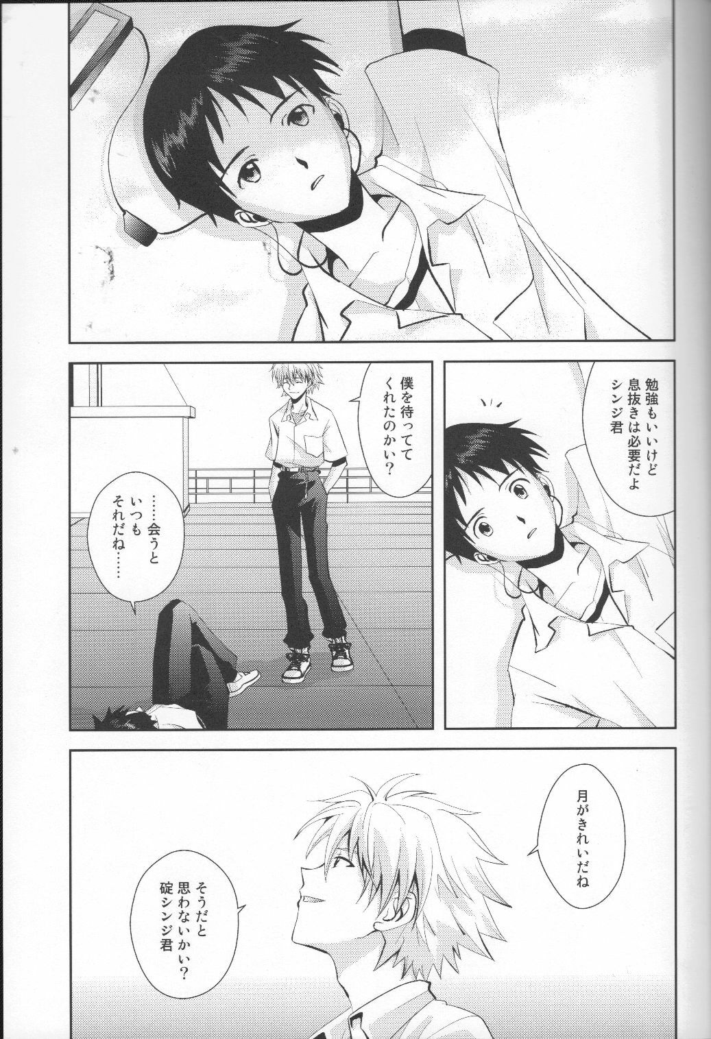 (C79) [WILDCAMEL (Indo Tomoyoshi)] Tsuki ga Kirei da ne (Neon Genesis Evangelion) page 6 full