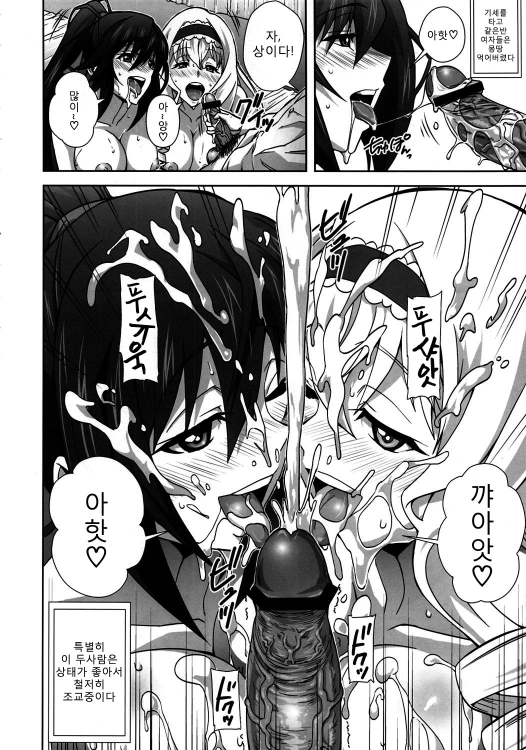 (COMIC1☆5) [Kamoro-Sa-Z (Migiyori, Oobanburumai)] Infinite DoStratos (IS ) [Korean] [Team Ouroboros] page 5 full