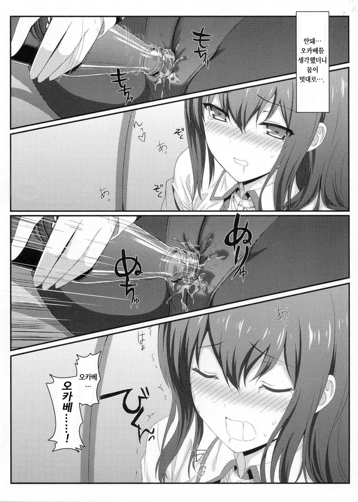 (C80) [Shadow Sorceress Communication Protocol (Hiten Onee-ryuu)] Tengoku e no Bullet Train (Steins;Gate) [Korean] page 10 full