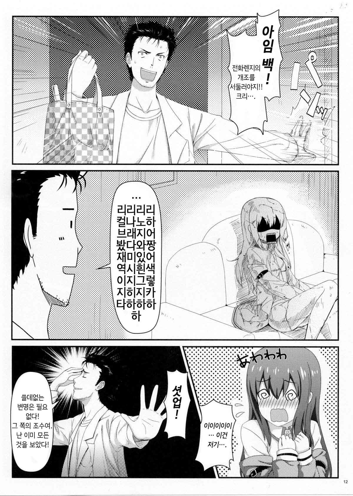 (C80) [Shadow Sorceress Communication Protocol (Hiten Onee-ryuu)] Tengoku e no Bullet Train (Steins;Gate) [Korean] page 11 full