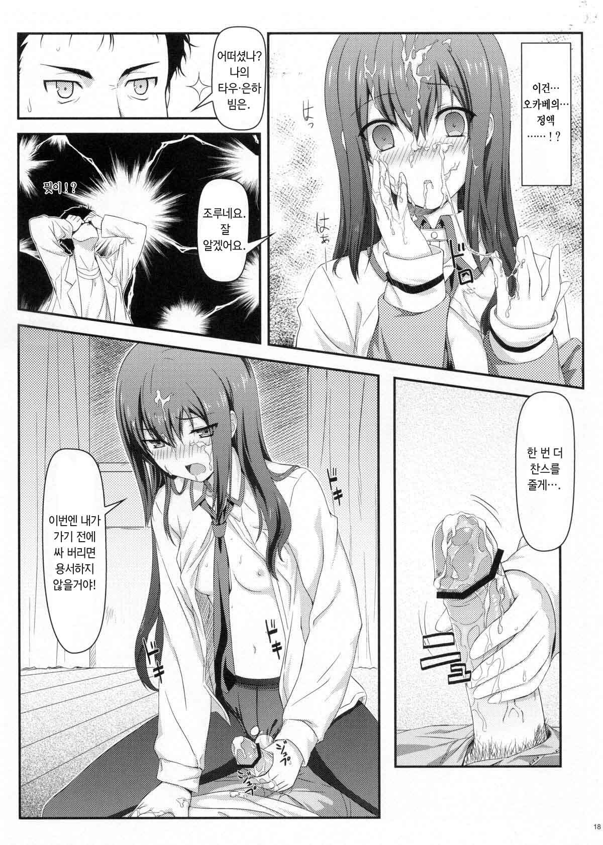 (C80) [Shadow Sorceress Communication Protocol (Hiten Onee-ryuu)] Tengoku e no Bullet Train (Steins;Gate) [Korean] page 17 full