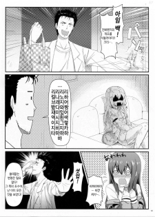 (C80) [Shadow Sorceress Communication Protocol (Hiten Onee-ryuu)] Tengoku e no Bullet Train (Steins;Gate) [Korean] - page 11