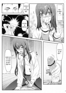 (C80) [Shadow Sorceress Communication Protocol (Hiten Onee-ryuu)] Tengoku e no Bullet Train (Steins;Gate) [Korean] - page 17