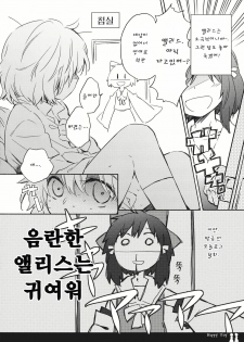 (C80) [Chiisai Hou ga Ii ,Mugi Jirushi (asaki, Tairi)] Happy Toy (Touhou Project) [Korean] - page 4