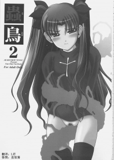 (C69) [Abarenbow Tengu (Izumi Yuujiro)] Kotori 2 (Fate/stay night) [Chinese] - page 2