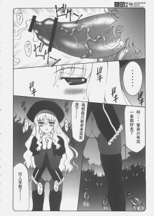 (C69) [Abarenbow Tengu (Izumi Yuujiro)] Kotori 2 (Fate/stay night) [Chinese] - page 5