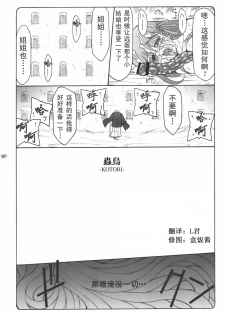 (C68) [Abarenbow Tengu (Izumi Yuujiro)] Kotori (Fate/stay night) [Chinese] [L君] - page 18