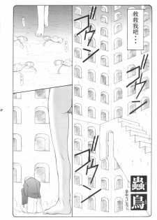 (C68) [Abarenbow Tengu (Izumi Yuujiro)] Kotori (Fate/stay night) [Chinese] [L君] - page 4